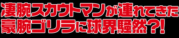 凄腕スカウトマンが連れてきた豪腕ゴリラに球界騒然？！